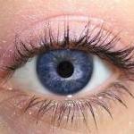 Wisteria Mineral Eyeshadow Eyeliner Pigment - Not..
